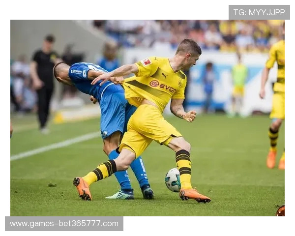 体育365官方官方合作伙伴众多，确保赛事信息的权威性和及时性