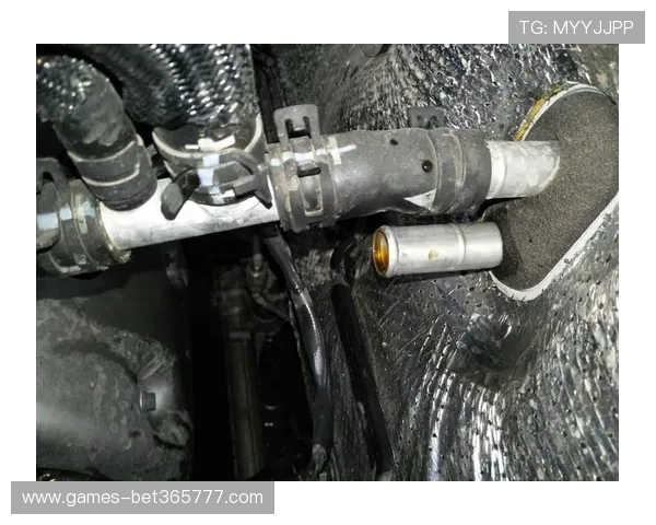 使用M88下注时常见问题及解决方案详解